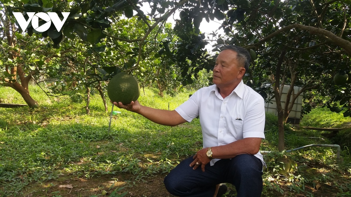 Người cao tuổi ngày càng chiếm tỉ lệ cao hơn trên thị trường lao động